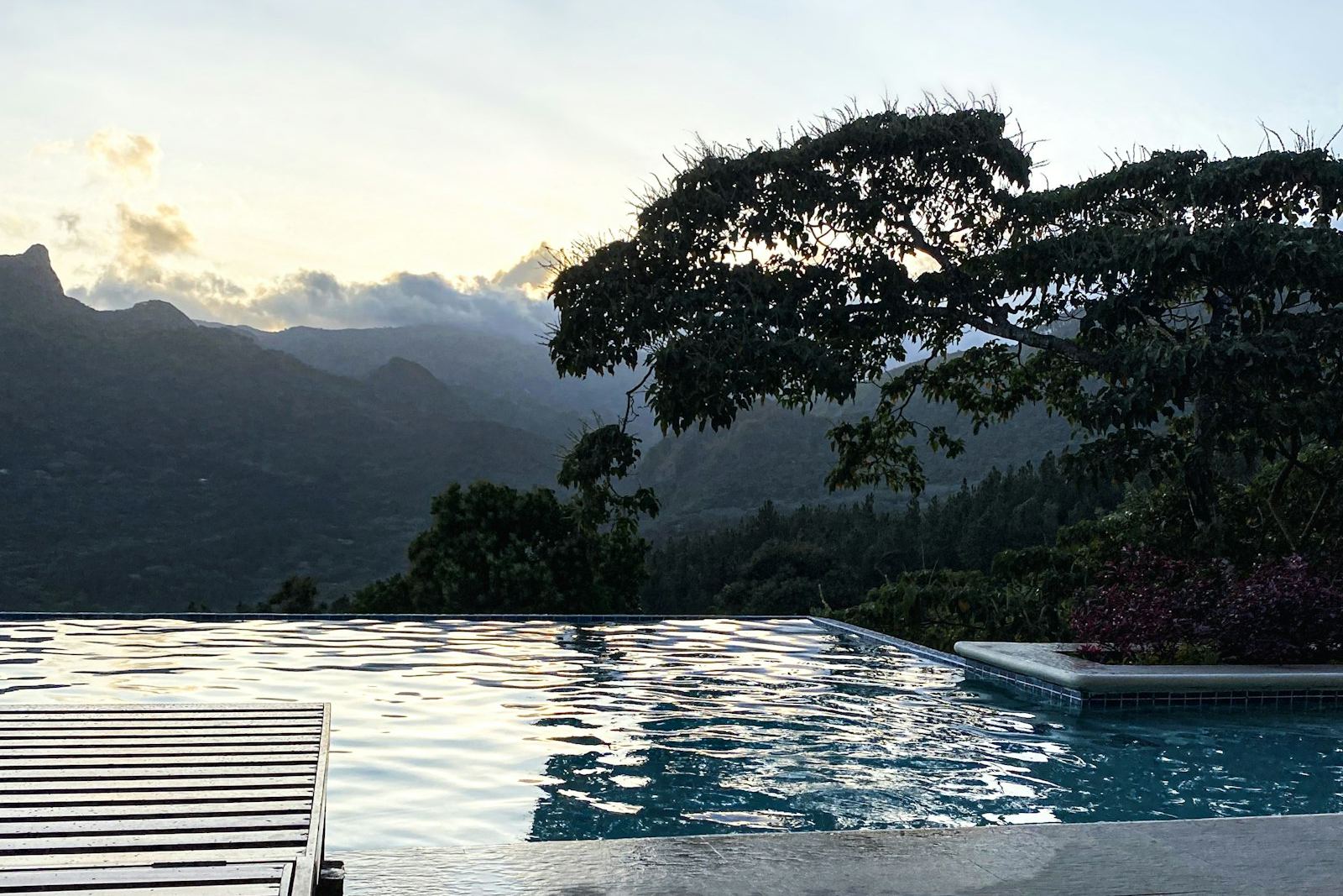 Piscina infinita frente a las sierras y un árbol a contraluz